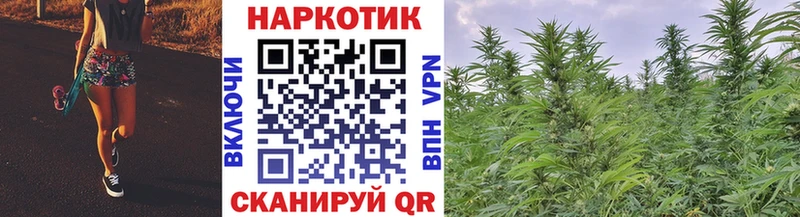 Купить наркоту Новоалександровск КОКАИН  ГАШ  Марихуана 
