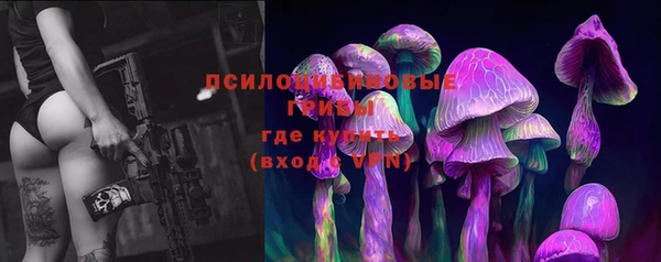 трава Алзамай