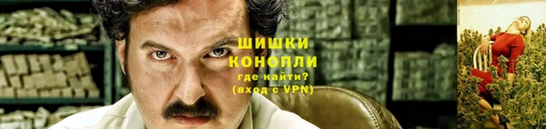 трава Алзамай