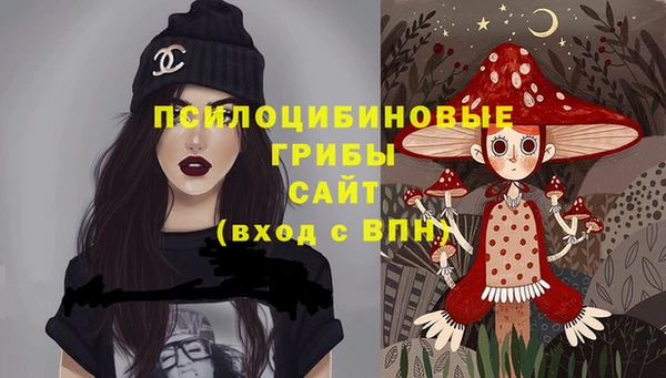 гидропоника Абдулино