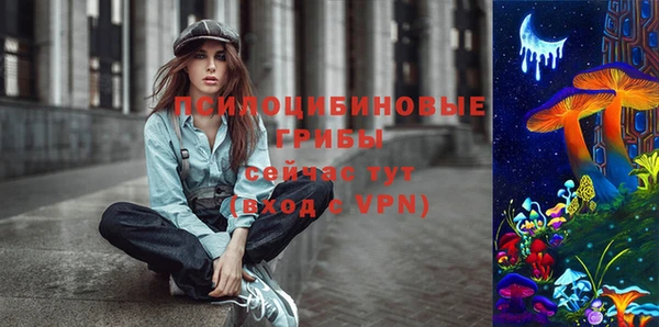 метамфетамин Алексин