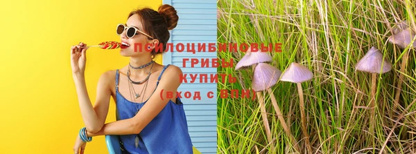 трава Алзамай