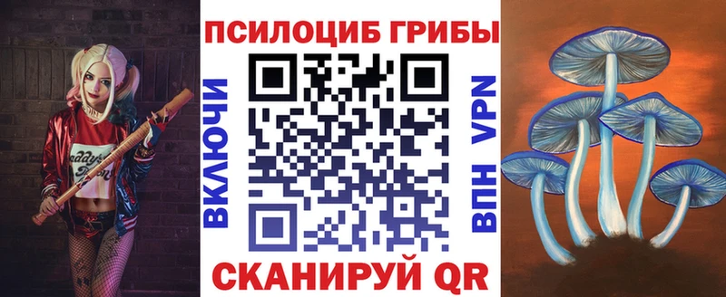 купить  сайты  Новоалександровск  Галлюциногенные грибы MAGIC MUSHROOMS 