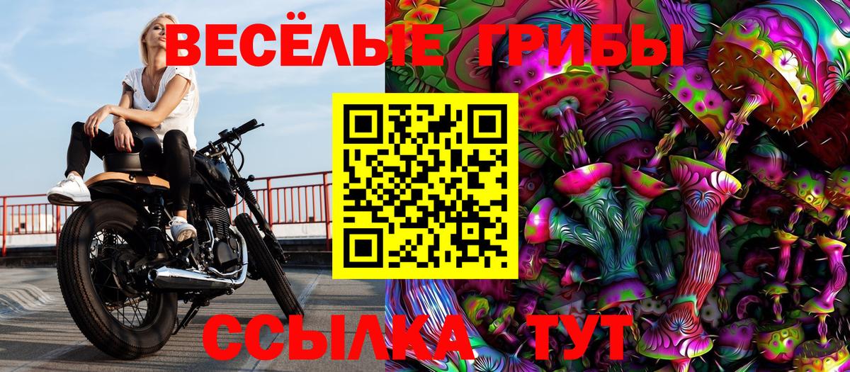 Новоалександровск  Галлюциногенные грибы Cubensis  Галлюциногенные грибы Psilocybine cubensis  Вход с VPN 