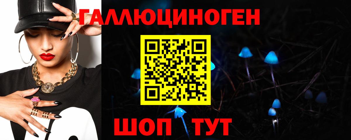 Псилоцибиновые грибы Psilocybine cubensis Новоалександровск